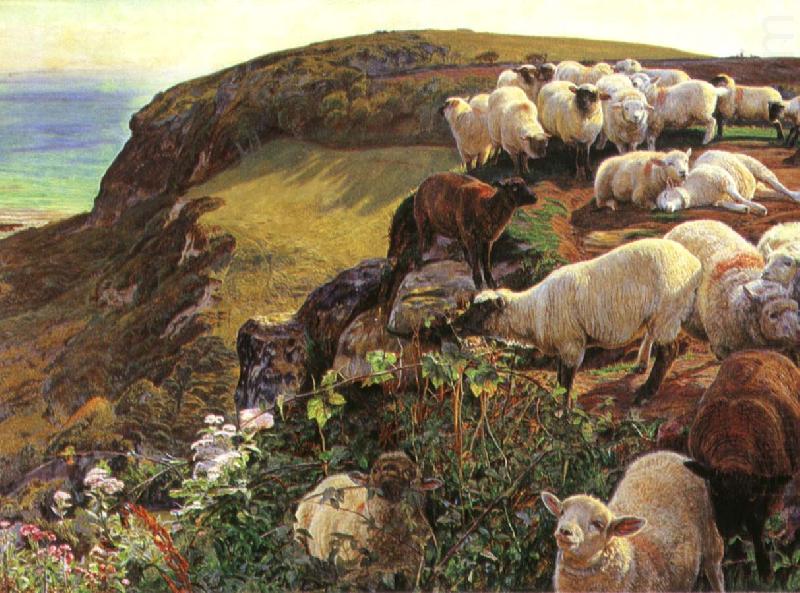 William Holman Hunt Our English Coasts china oil painting image